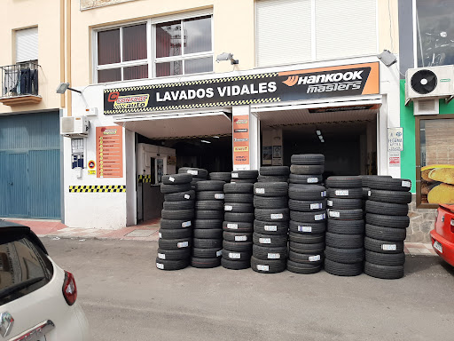 LAVADOS VIDALES