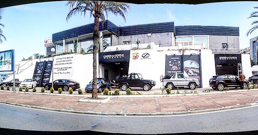 General Motors oficial Workshop