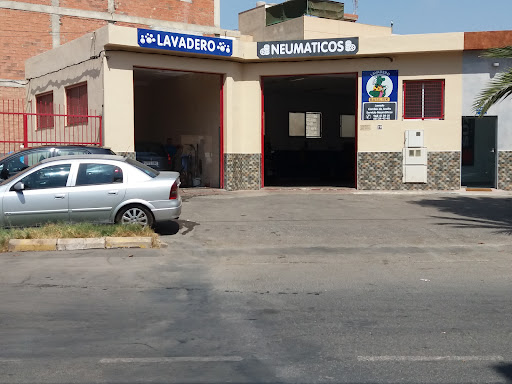 Taller Automagic