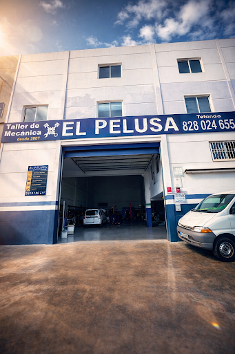 Taller el pelusa