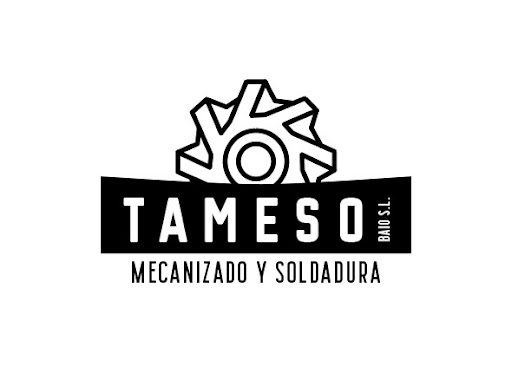 Tameso Baio S.L