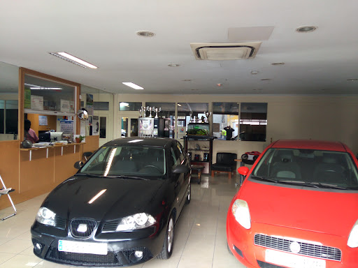 Vicauto Motor Gaza, S.L.