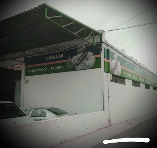 MANGLOVE ALCUDIA