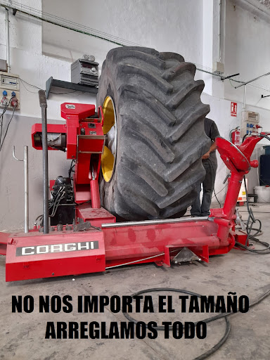 NEUMATICOS OLIVARES