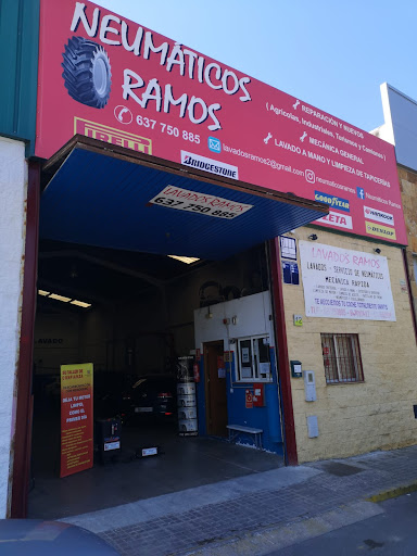 NEUMATICOS RAMOS