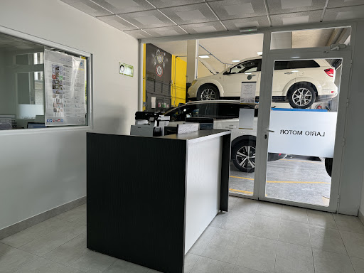 LARIO MOTOR - DRIVER CENTER (TOMARES) - TALLER DE COCHES