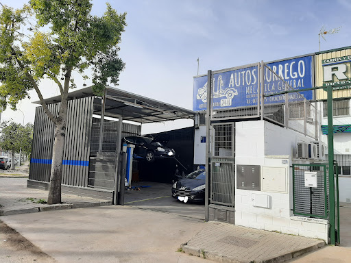 Autos Borrego